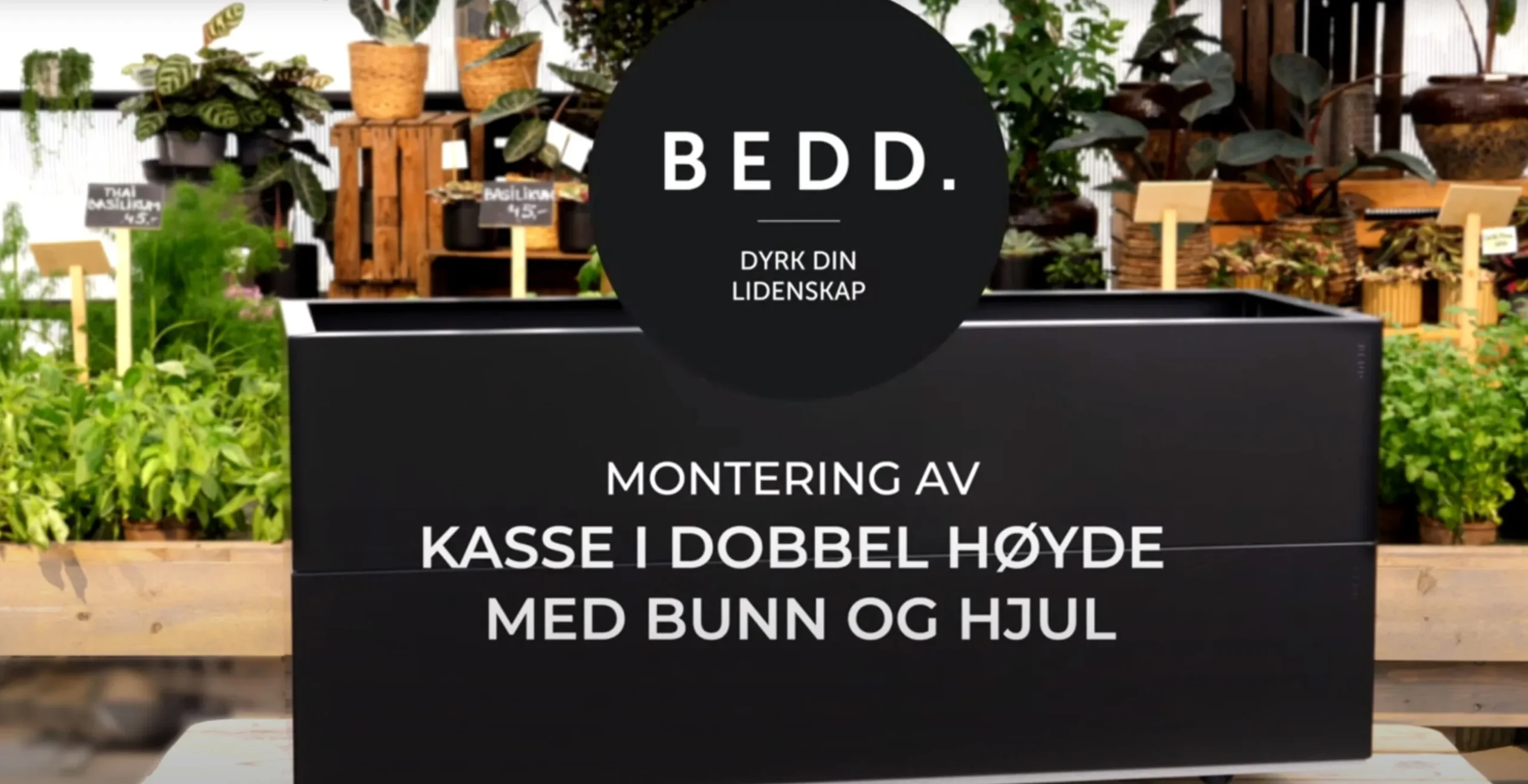BEDD Plantekasser pu00E5 hjul