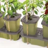 Duogrow selv-vandende Krukker