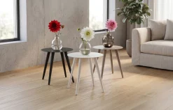 Hops sidebord rundt