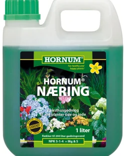 Hornum flydende nu00E6ring