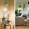 Plantearmatur til LED-pu00E6re