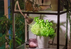 Plantebelysning Flexia