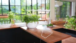 Plantebelysning Florabooster