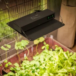 Plantebelysning Sirius 120 W
