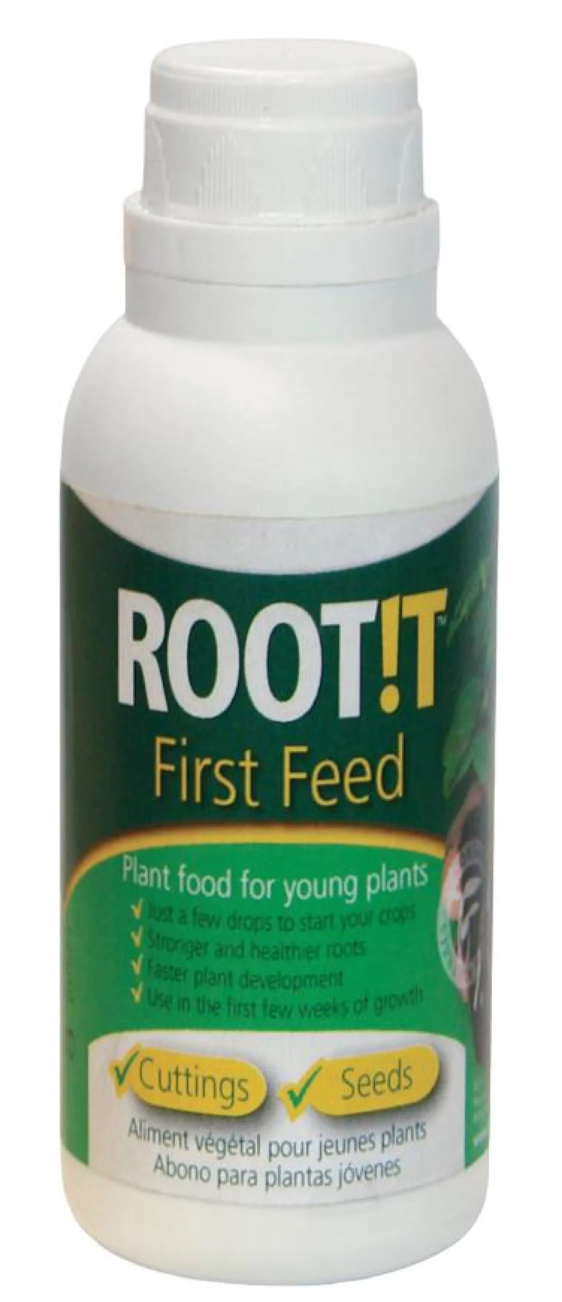 ROOT!T Fru00F8gu00F8dning