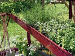 Su00E5bed Euro-Serre - bestillingsvare