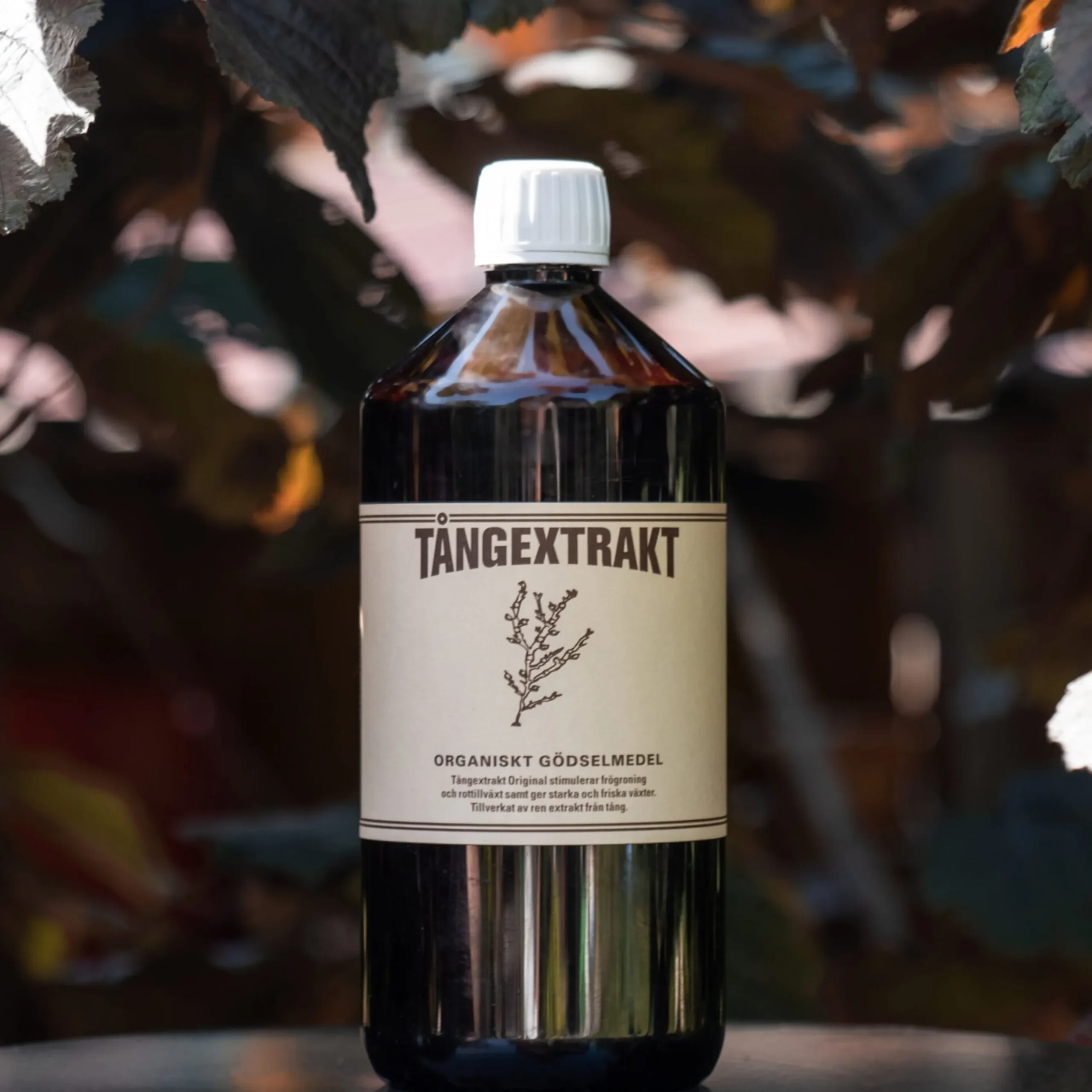 Tangekstrakt Original