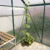 Tomatspiral