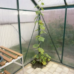Tomatspiral